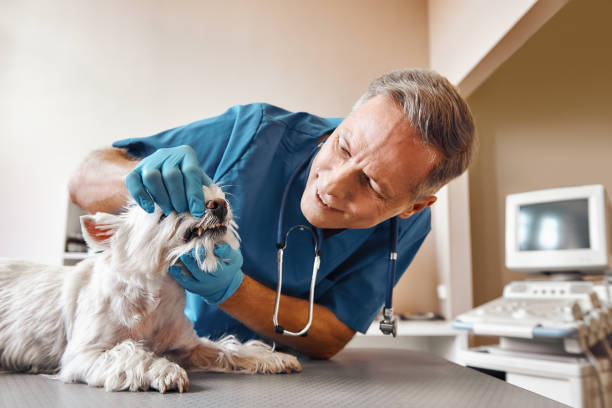 Dentist for Dental Trauma in AK